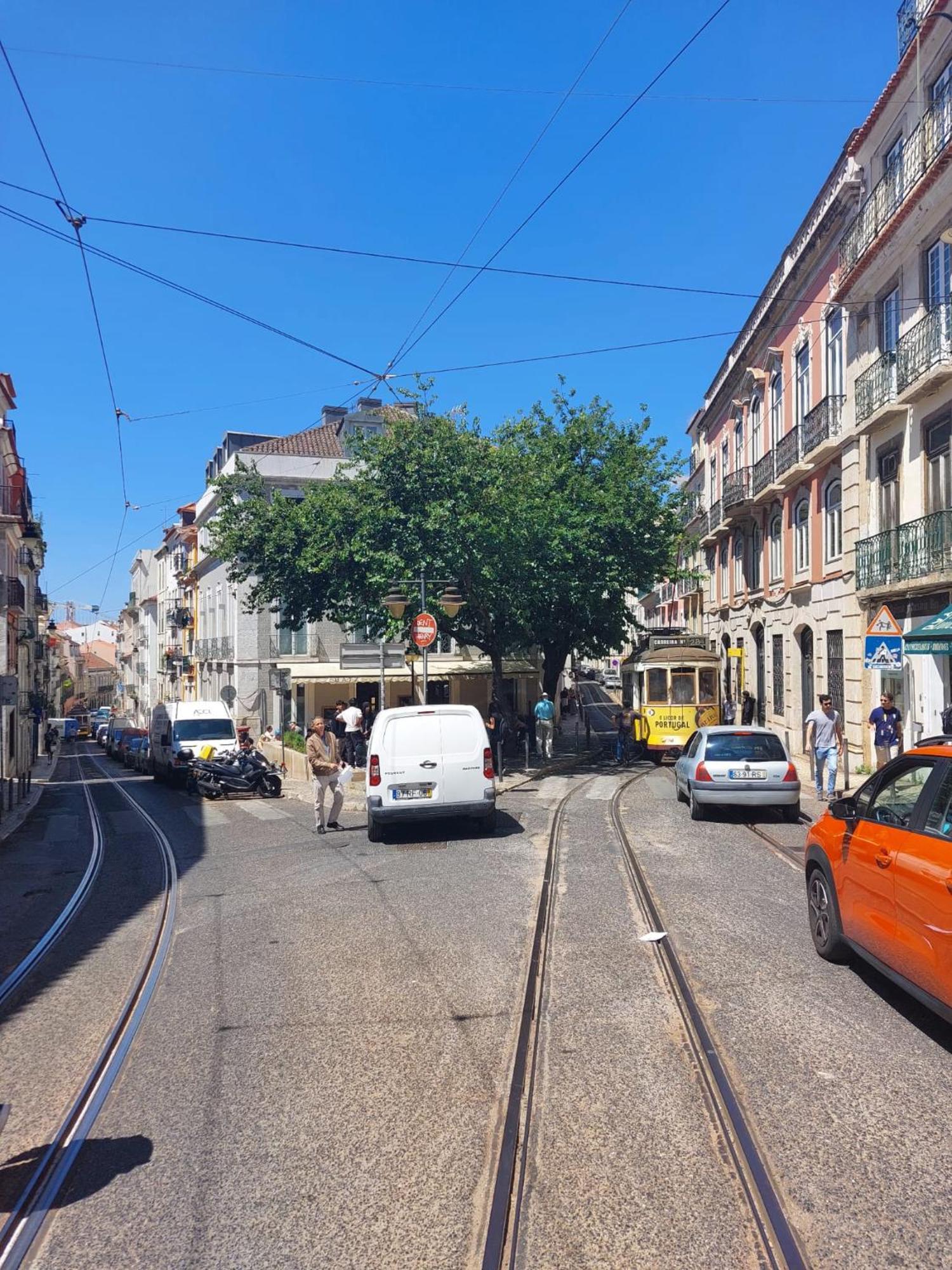 In The Heart Of Apartamento Lisboa